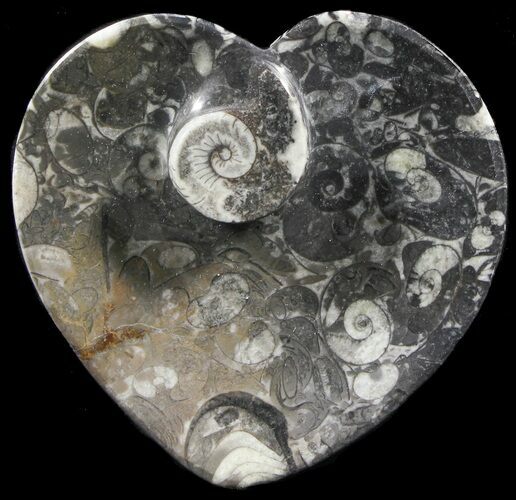Heart Shaped Fossil Goniatite Dish #39359